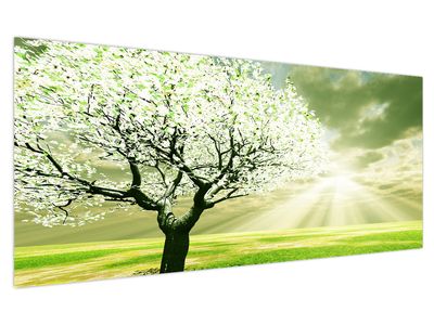 Slika cvatućeg stabla