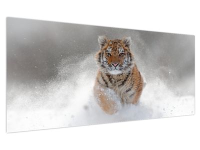 Slika tigra koji trči u snijegu
