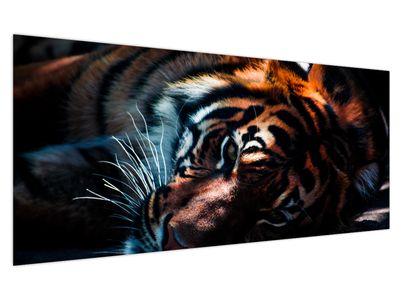 Slika ležećeg tigra