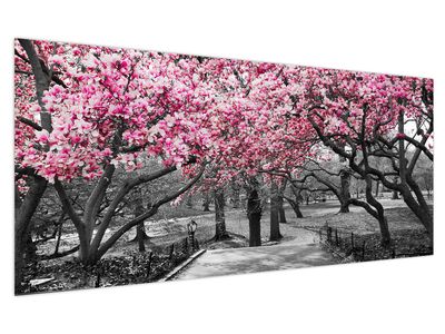 Obraz stromů Magnolíie