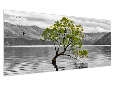 Slika stabla usred jezera