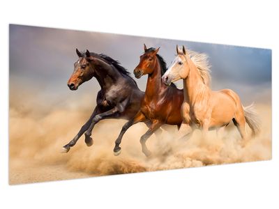 Obraz - Divocí koně