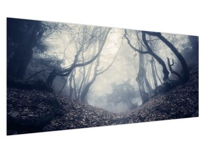 Bild auf Leinwand - Wald im Nebel