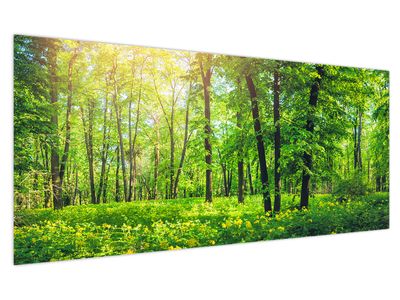 Obraz - Jarní listnatý les