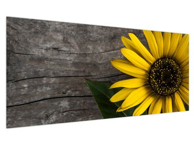 Slika - Cvijet suncokreta