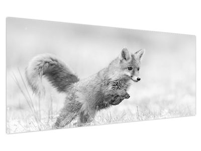 Slika - Lisica koja skače, crno-bijela