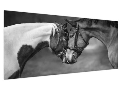 Slika - Zaljubljeni konji, crno-bijela