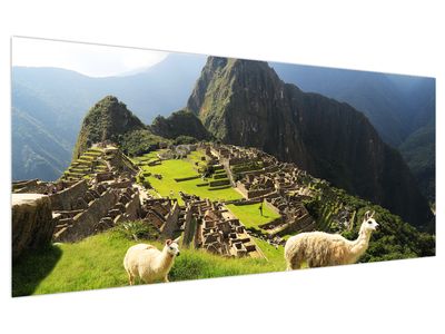 Tablou - Machu Picchu