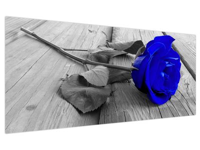 Bild auf Leinwand - Blaue Rose