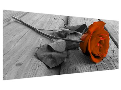 Bild auf Leinwand - Orange Rose