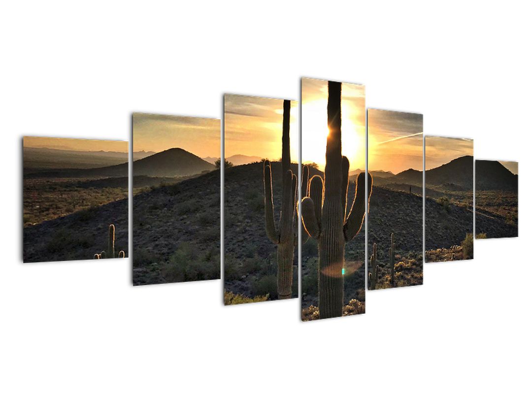 Obraz - kaktusy ve slunci (V020560V210100)