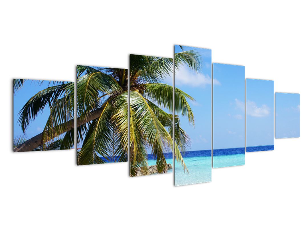 Obraz palmy na pláži (V020612V210100)