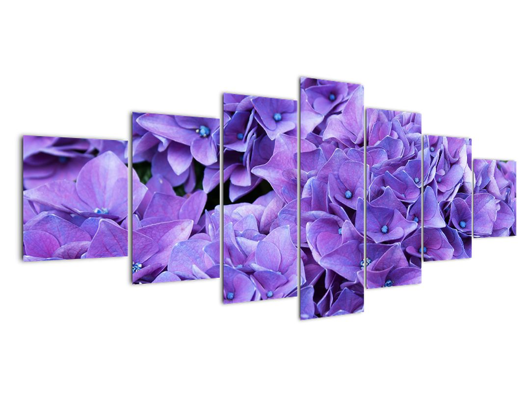 Leinwandbild der Blumen lila