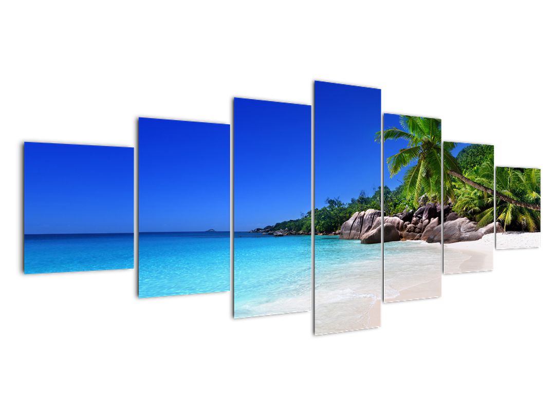 Obraz pláže na Praslin ostrově (V020936V210100)