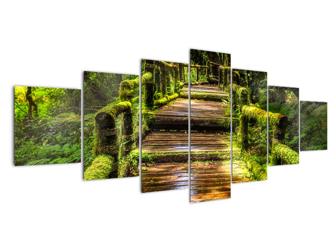 Obraz schodů v deštném pralese (V020941V210100)