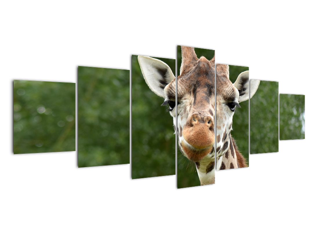 Obraz žirafy (V020969V210100)