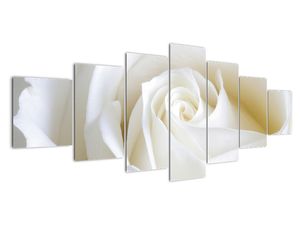 Slika bele vrtnice
