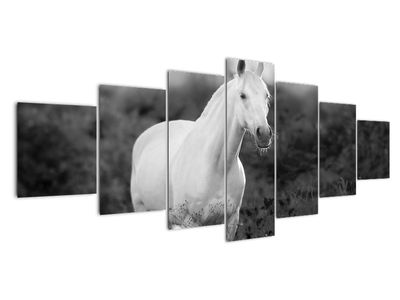 Slika belega konja na travniku, črnobela