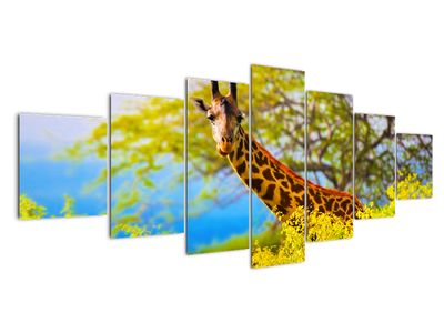 Bild auf Leinwand - Giraffe in Afrika