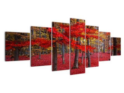 Slika - Rdeč gozd