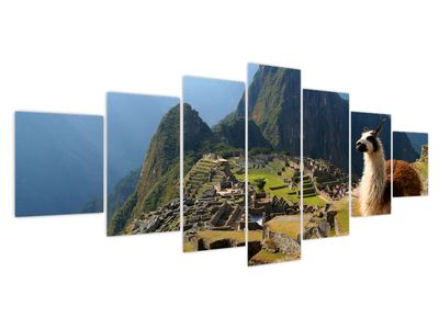 Obraz - Lama i Machu Picchu