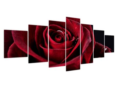 Obraz - Rudá růže