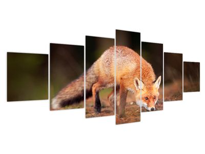 Bild auf Leinwand - Fuchs im Wald