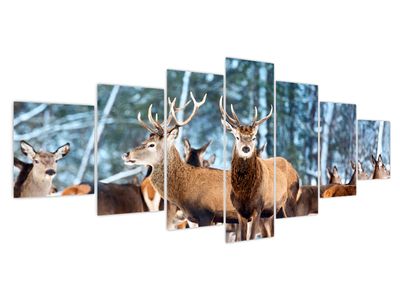 Obraz - Stádo jelenů