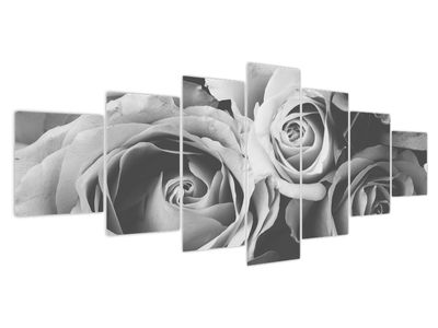 Obraz - Růže, černobílá