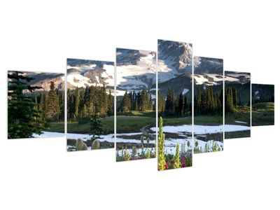 Obraz - Mount Rainier