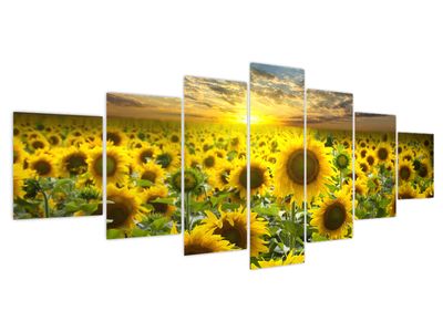 Schilderij - Zonnebloemen bij zonsondergang