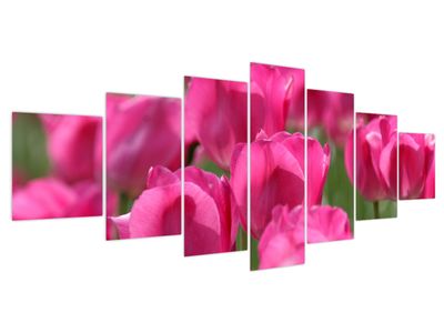 Bild auf Leinwand - Rosa Tulpen