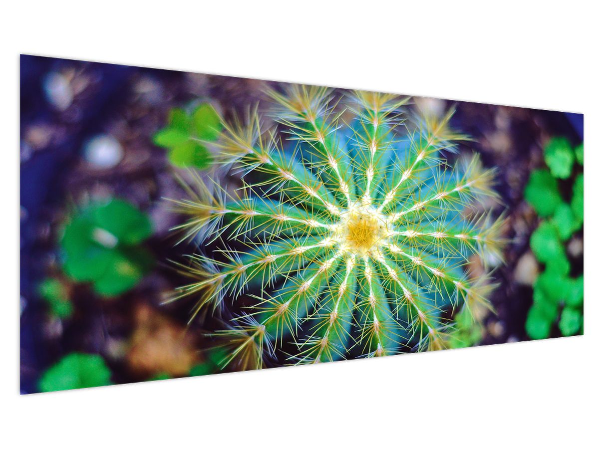 Obraz kaktusu (V020556V250125)