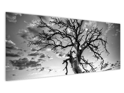 Slika - Črno-belo drevo