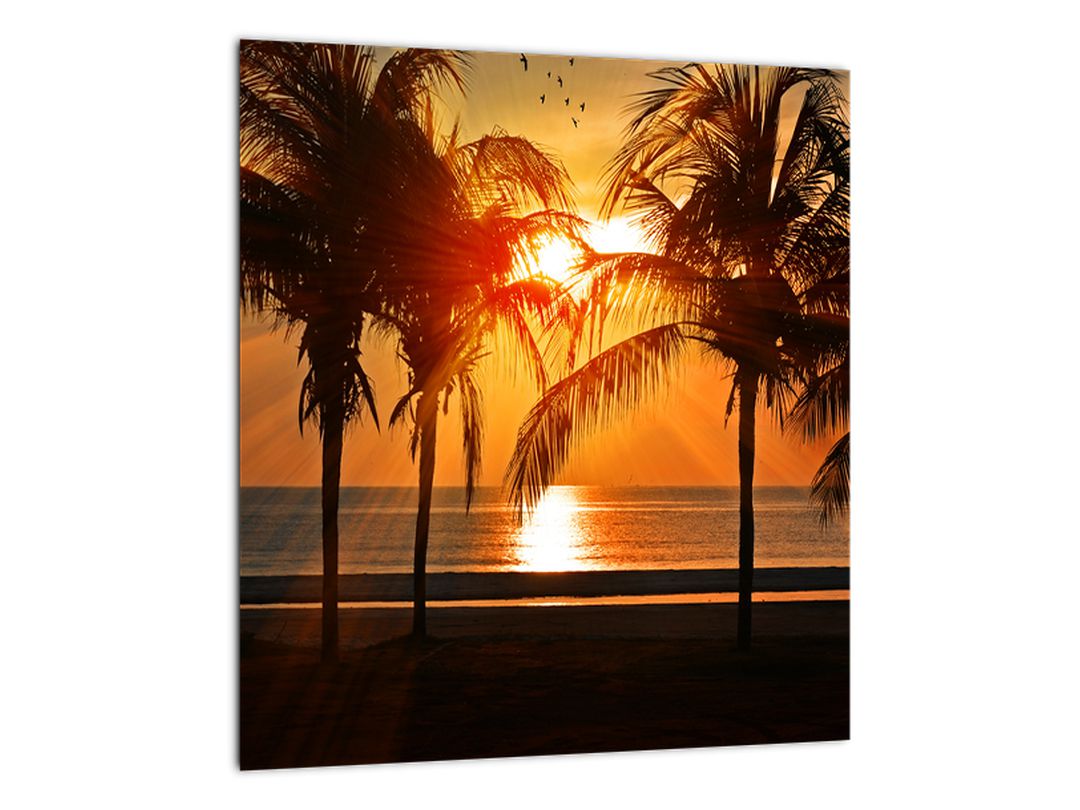 Obraz palmy v západu slunce (V020622V3030)
