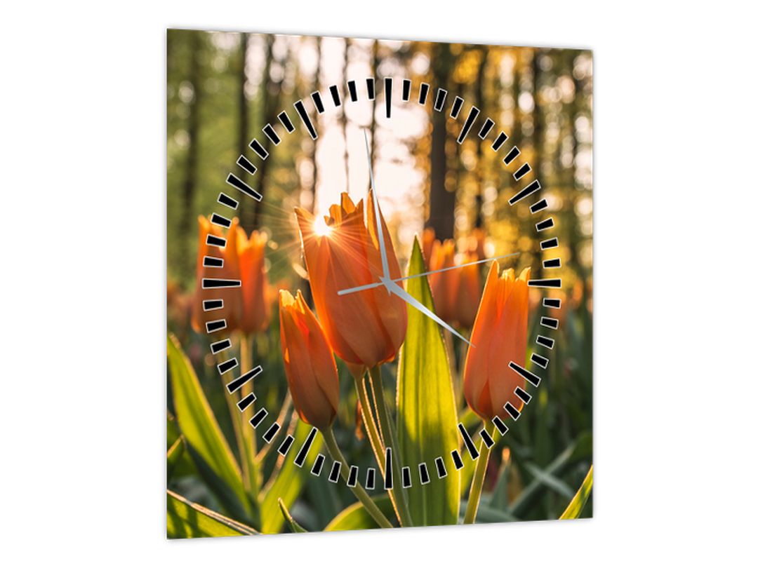Obraz - oranžové tulipány (s hodinami) (V020552V3030C)