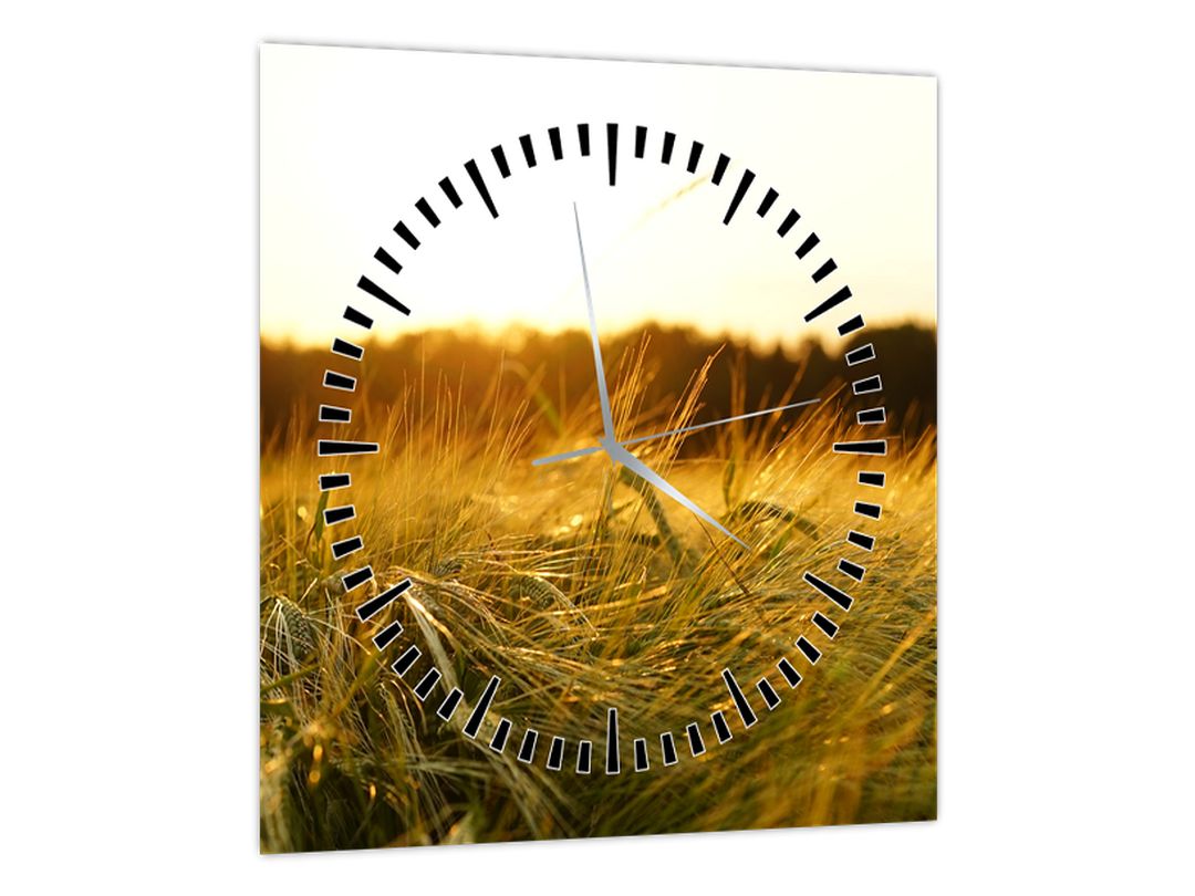 Obraz orosené trávy (s hodinami) (V020584V3030C)
