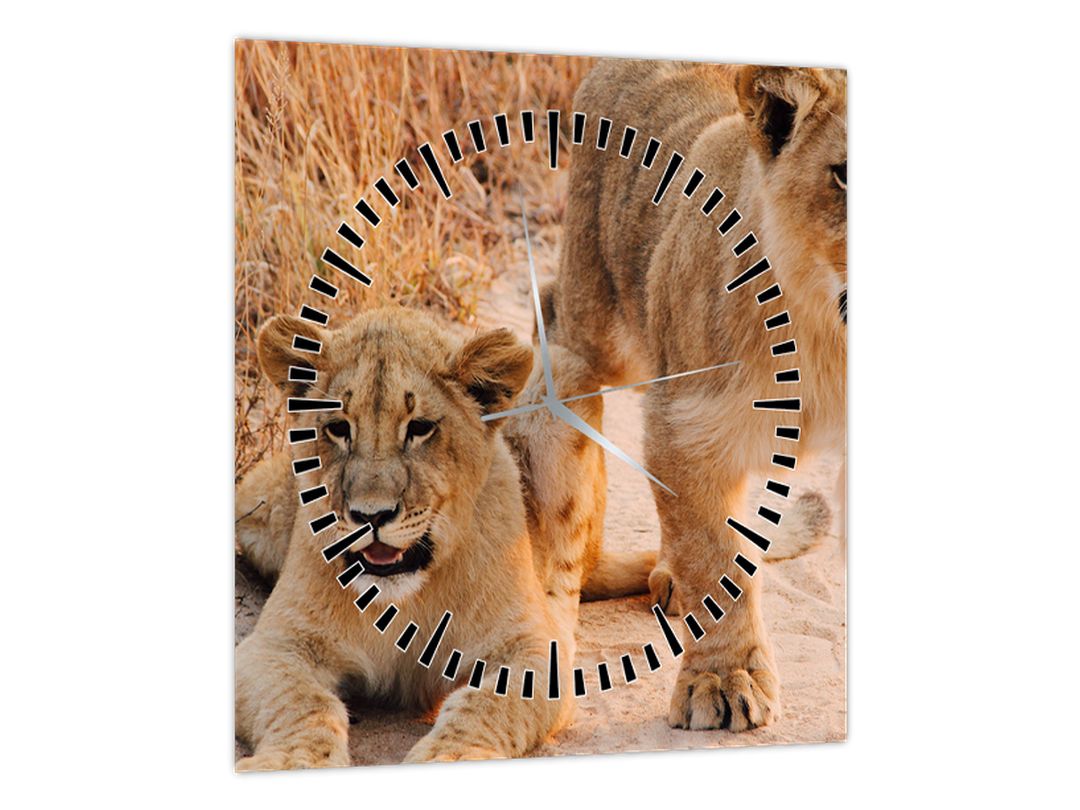Obraz lvíčat (s hodinami) (V020929V3030C)