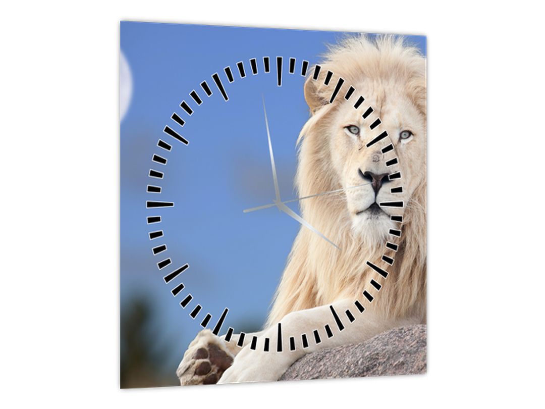 Obraz - Bílý lev (s hodinami) (V022476V3030C)