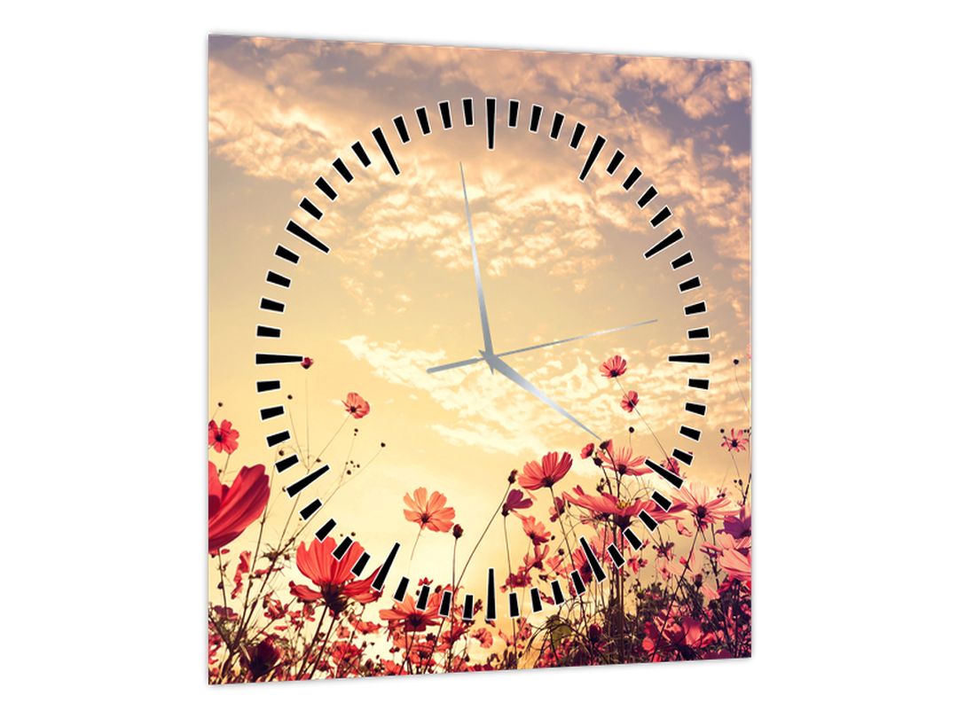 Obraz - Louka s květinami (s hodinami) (V022505V3030C)