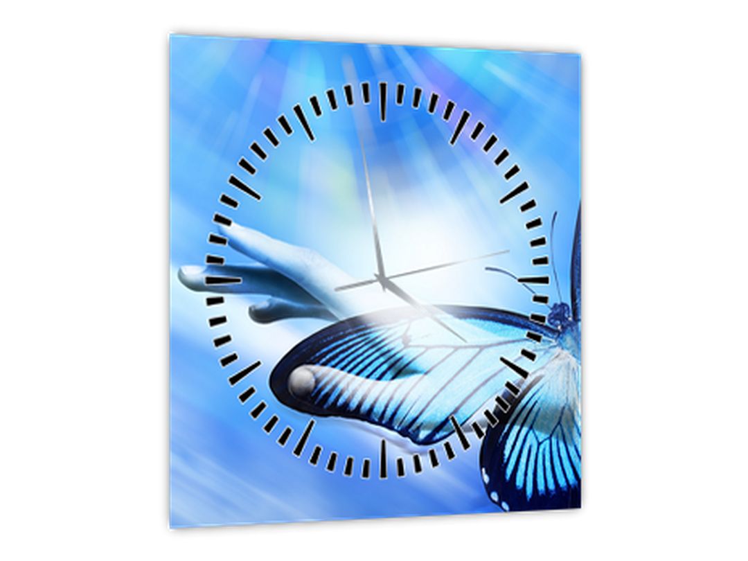 Obraz - Motýl, symbol naděje (s hodinami) (V022518V3030C)