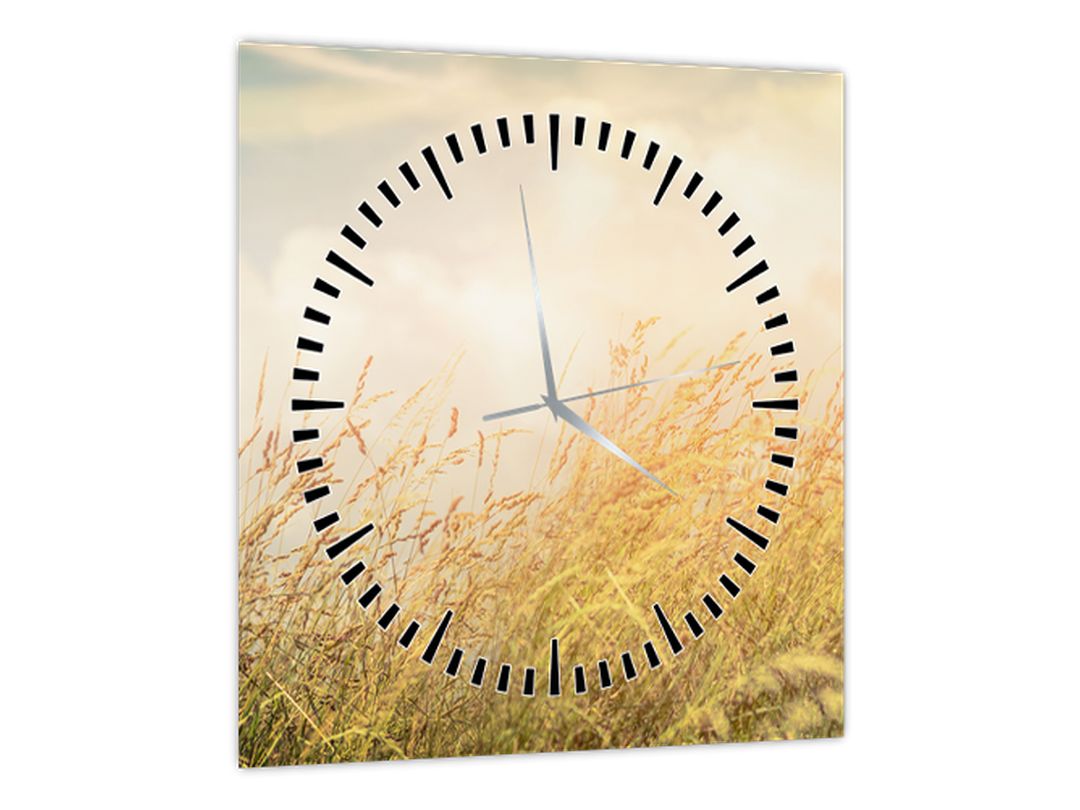 Obraz - Pole na podzim (s hodinami) (V022530V3030C)