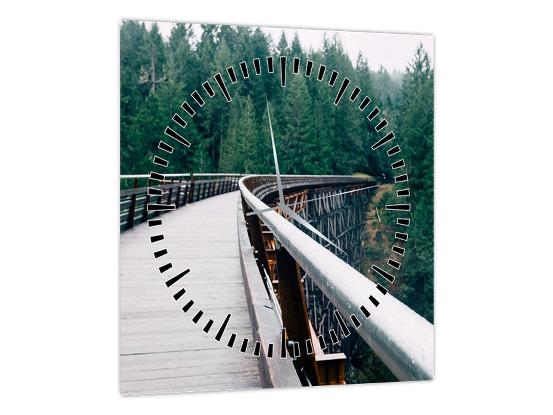 Obraz - Most k vrcholkům stromů (s hodinami) (V022571V3030C)