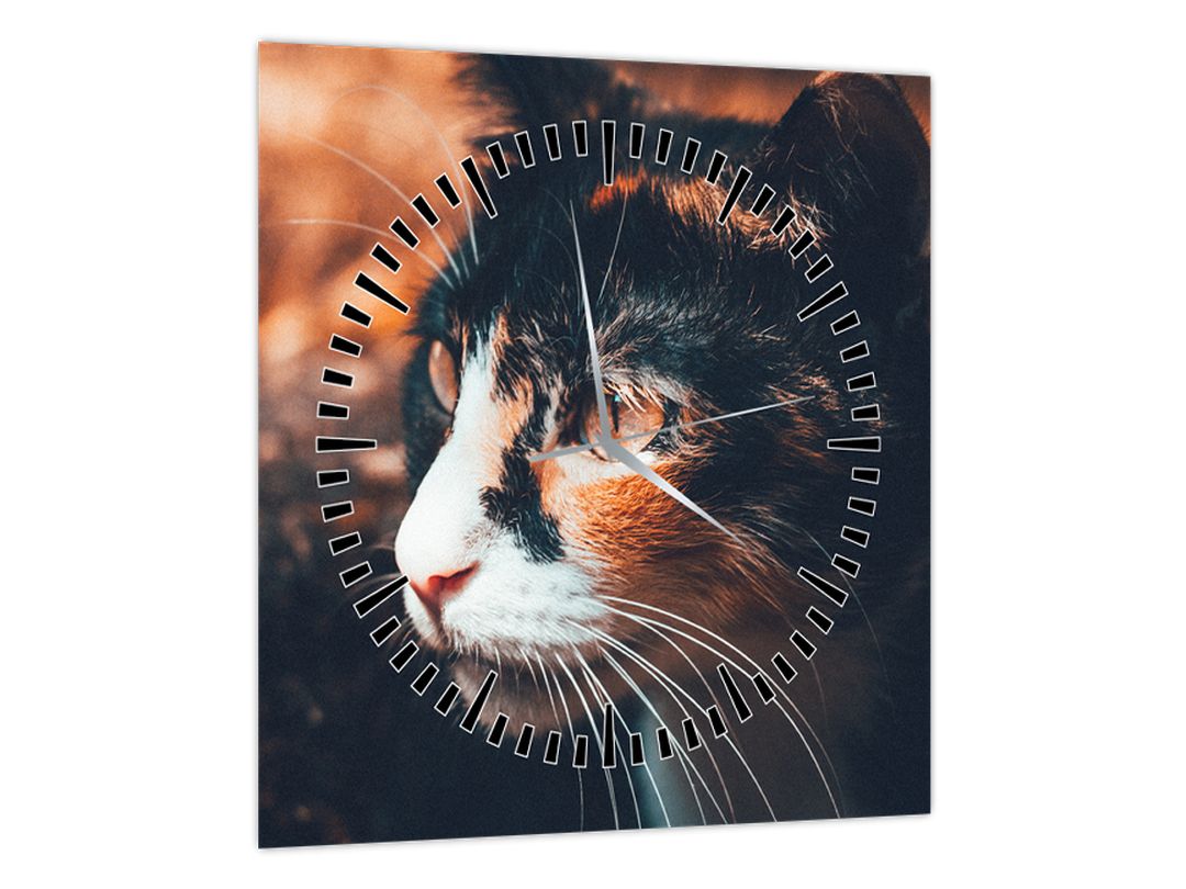 Obraz - Pohled kočky (s hodinami) (V022578V3030C)