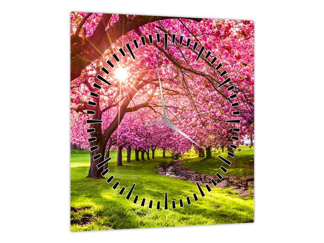 Obraz rozkvetlých třešní, Hurd Park, Dover, New Jersey (s hodinami) (V022582V3030C)