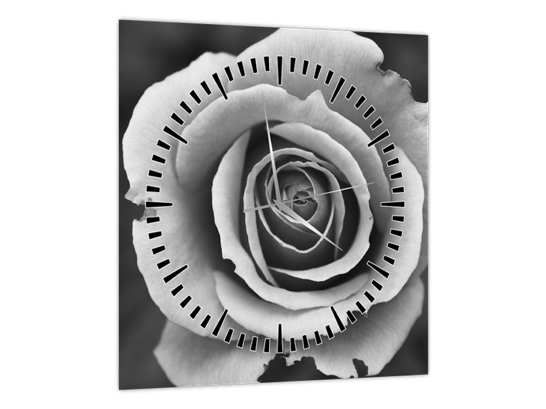 Obraz růže (s hodinami) (V022585V3030C)