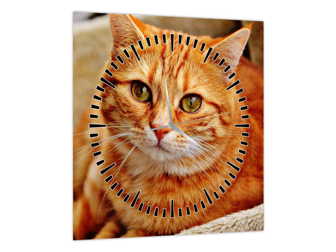 Obraz ležící kočky (s hodinami) (V022587V3030C)