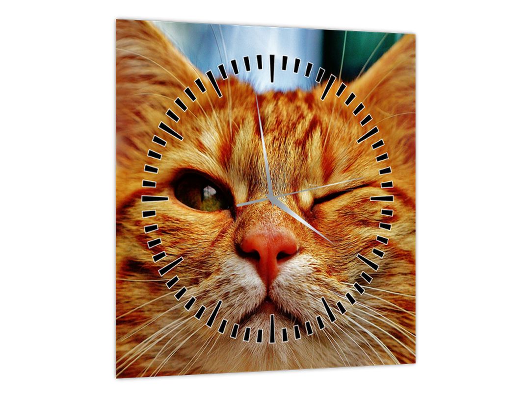 Obraz mrkající kočky (s hodinami) (V022588V3030C)