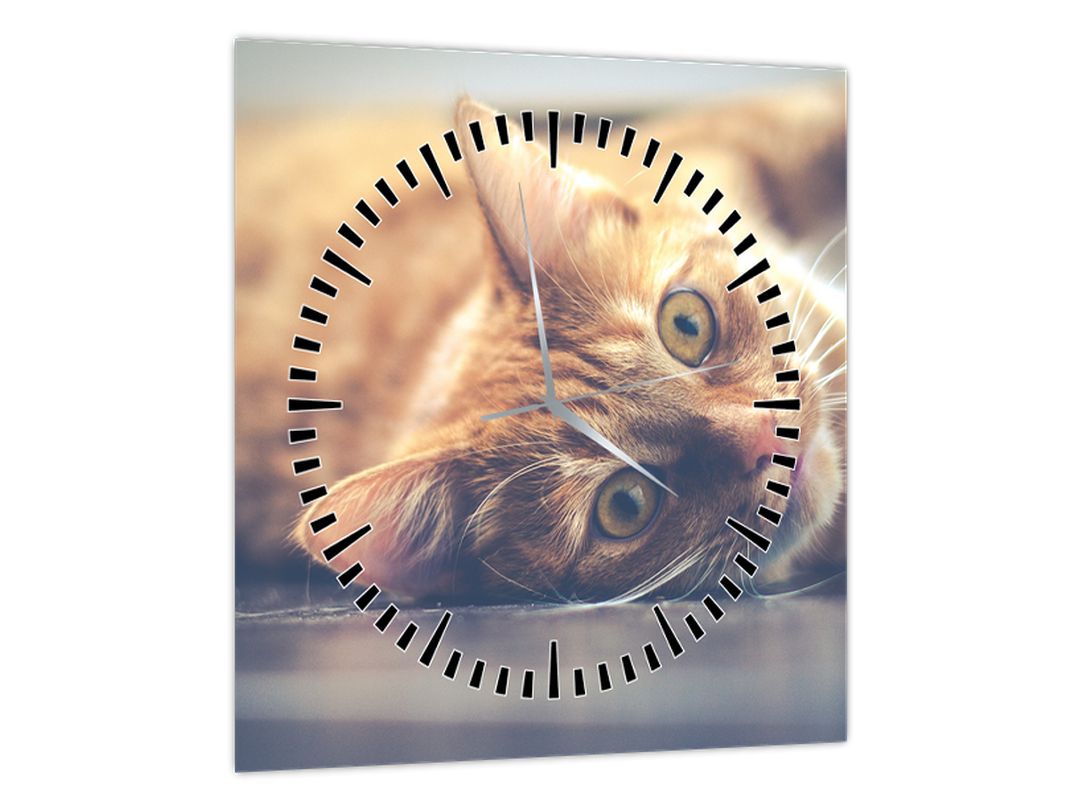 Obraz kočky na podlaze (s hodinami) (V022592V3030C)