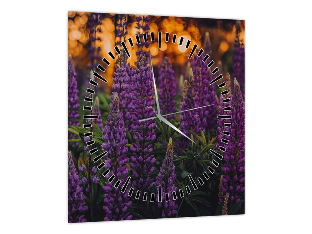 Obraz květů vlčího bobu (s hodinami) (V022614V3030C)